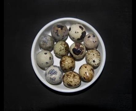 Twelve small quail eggs Foto stock