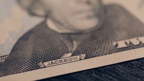 A Twenty-dollar Bill Video stock 84677348