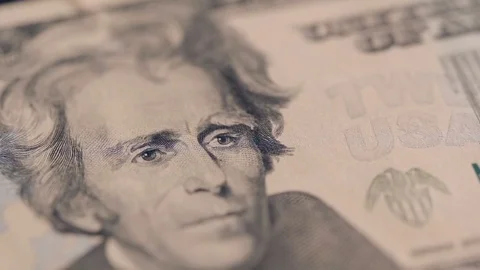 A Twenty-dollar Bill Video stock 84677360