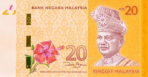 Twenty ringgit note from Bank Negara Malaysia with floral design portrait Stock Photos