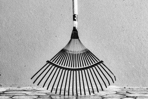 Twenty Tine Leaf Rake Stock Photos