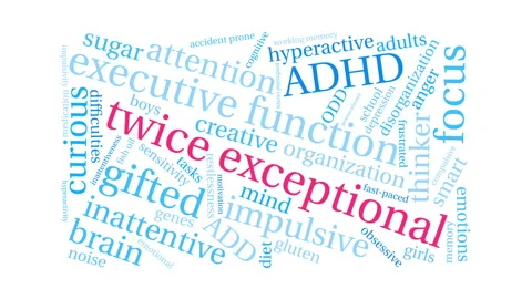 Twice Exceptional Word Cloud Stock Footage 147734259