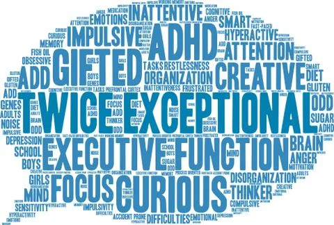 Twice Exceptional Word Cloud Illustrazione stock
