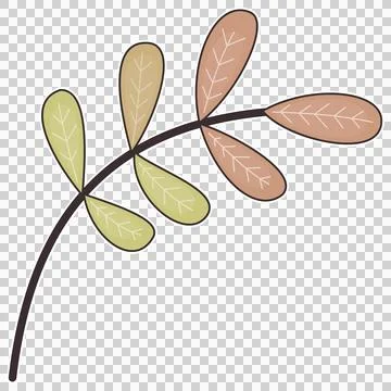 Twig branch Stock Illustration