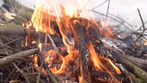 Twig burns in a fire Stock Footage 102407852