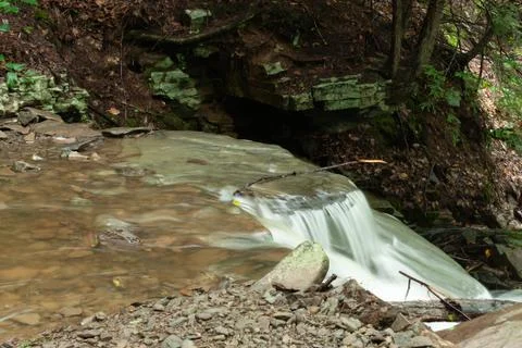 Twig on edge Stock Photos