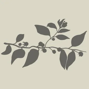 Twig Stock Illustration