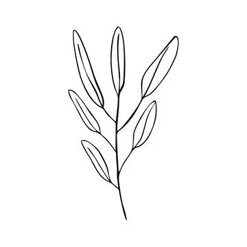 Twig with leaf Stock Illustration