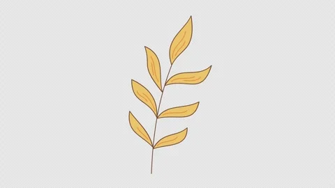 Twig with orange leaves Stock Footage 337890794