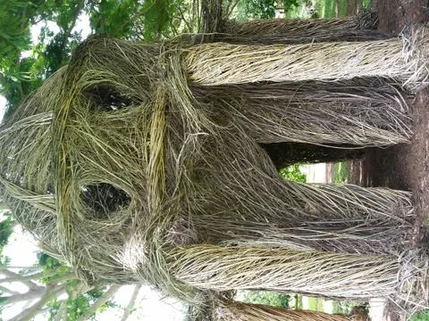 Twig Structure in Garden Stock Photos