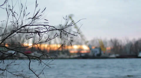 Twig swings at sunset Stock Footage 33964763