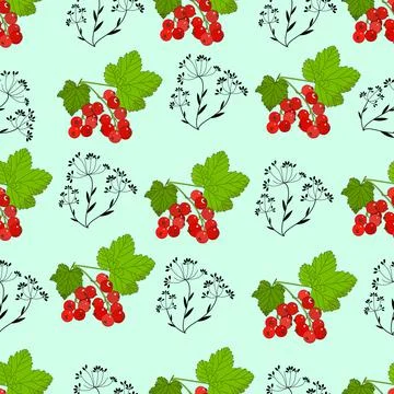 Twigs and berries. Stock Illustration