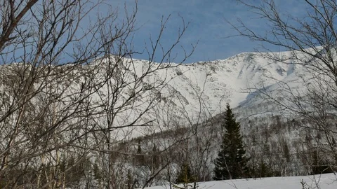 Twigs and branches against high white mountain range Stock-Footage 109207448