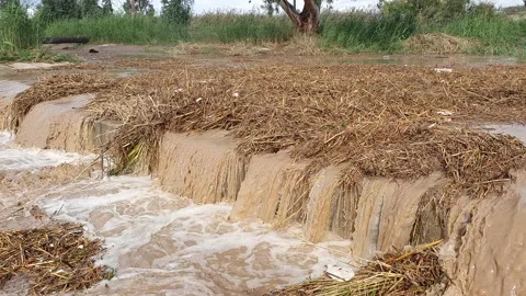 Twigs and branches clogging a tributary of the Kishon stream Stockbeeldmateriaal 146290844
