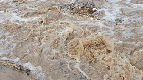 Twigs and branches clogging a tributary of the Kishon stream 스톡 동영상 146291533
