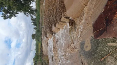 Twigs and branches clogging a tributary of the Kishon stream, pan, vertical Видео 146291818