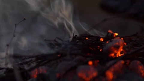 Twigs being placed in small glowing campfire 스톡 동영상 102906002