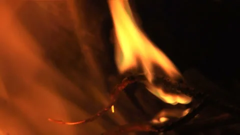 TWIGS BURNING Stock Footage 140971314
