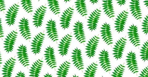 Twigs with green leaves seamless pattern on a white background. Stock Illustration