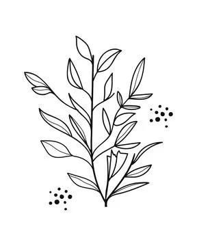 Twigs with Leaves in a Botanical hand drawn.Vector illustration Stock Illustration