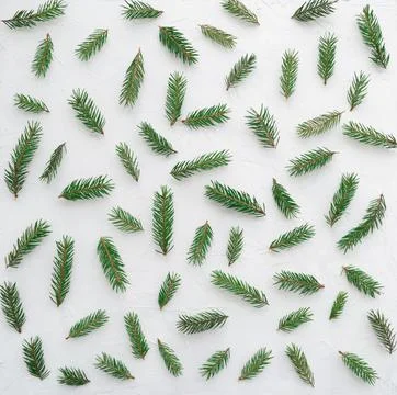 Twigs of pine needles on a white background, christmas and new year celebrations Stock Photos