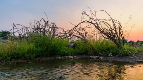 Twigs river at sunset Stock Photos