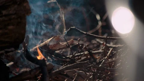 Twigs set ablaze in the campfire Video stock 94880416