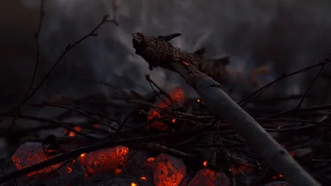 Twigs on small glowing campfire Stock Footage 102905998