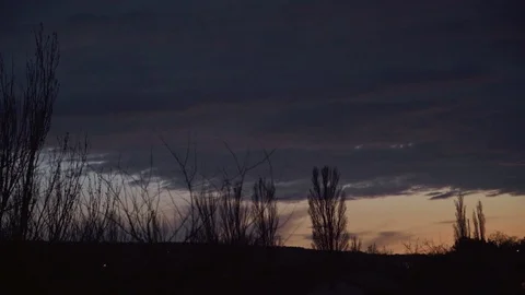 Twilight and flying clouds behind trees Stock Footage 107071269