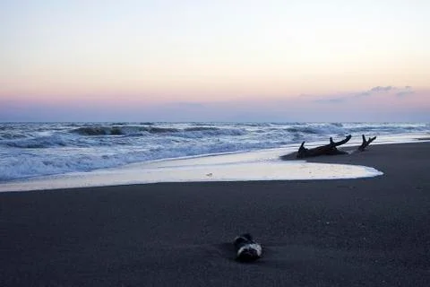Twilight on the beach with wreck of a tree (1) Stock Photos
