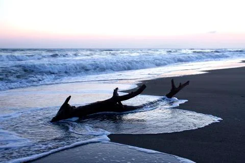 Twilight on the beach with wreck of a tree (3) Stock Photos
