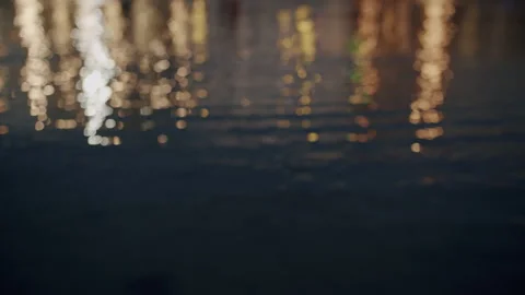 Twilight Bokeh Ambiance Stock Footage 263474267