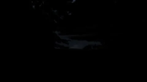 Twilight Camera Push Through Dark Forest Branches Revealing Lake and Hills Stock-Footage 346886577