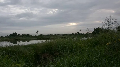 Twilight clouds over the fish pond in Thailand Stock Footage 83777163