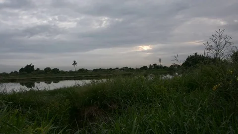 Twilight clouds over the fish pond in Thailand Stock Footage 83777184