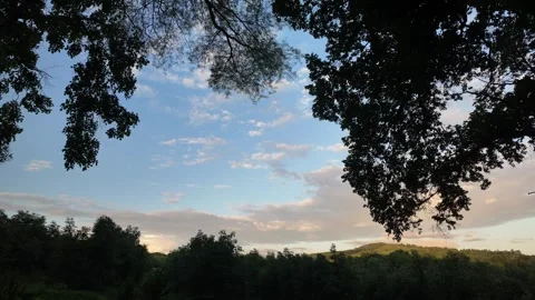 Twilight Clouds Timelapse 4K Tree Silhouette Stock Footage 323749275