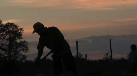 Twilight farming man Stock Footage 853214