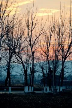 Twilight field Stock-Fotos