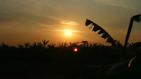 TWILIGHT Stockbeeldmateriaal 208622156