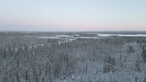 Twilight Forest with Snow and Moon - Aerial Shot Video stock 243445964