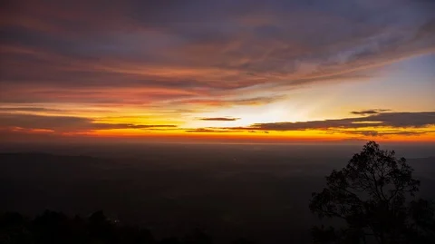 Twilight in the forest - Time lapse 動画素材 118579246