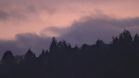 Twilight forested horizon Vidéo 85873928