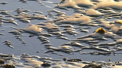 Twilight Light Reflected On Beach Stock Footage 76348546