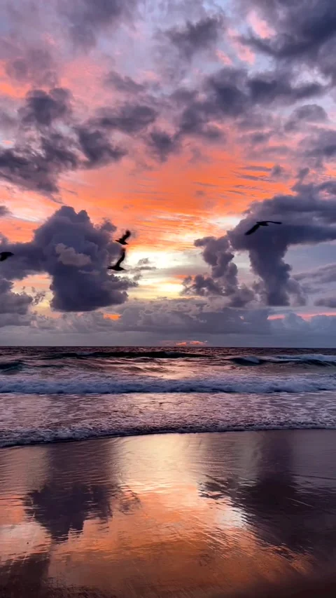 Twilight mood Stock Footage 236077865