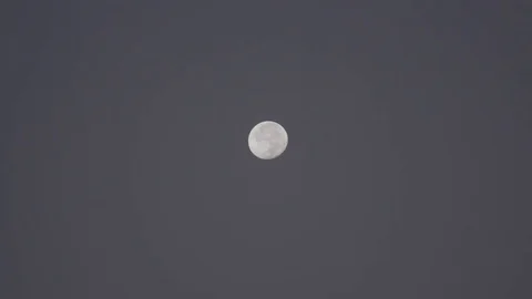 Twilight Moon - C300 MK2 4k Stock Footage 80810769