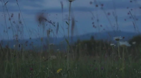 Twilight in the mountains 스톡 동영상 64906065