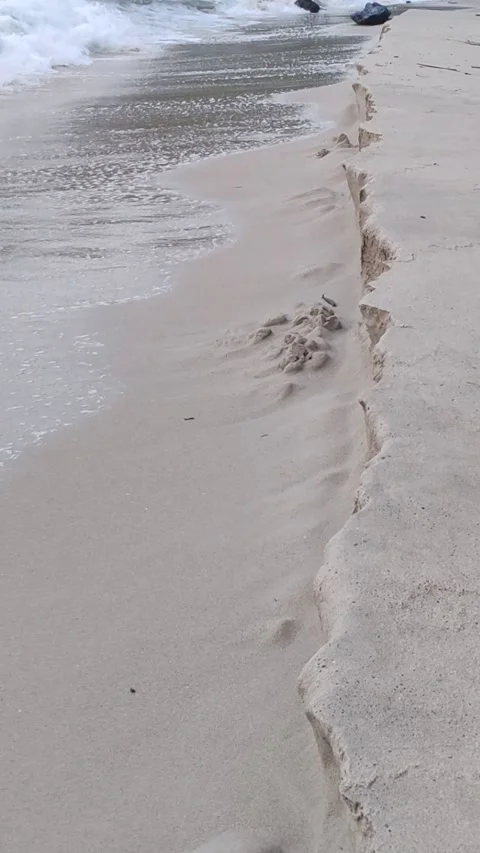 Twilight Ocean Breeze Stock Footage 326161653