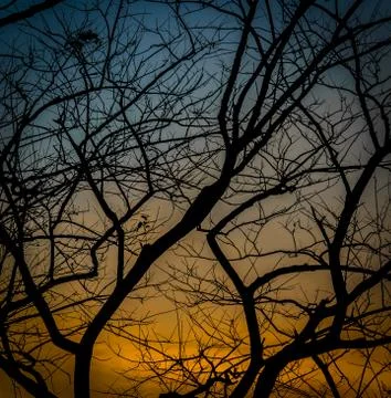 Twilight Stock Photos