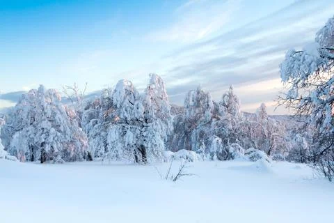 Twilight Stock Photos