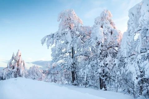 Twilight Stock Photos